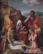 Andrea del Sarto Dead Christ and Virgin mary oil painting artist